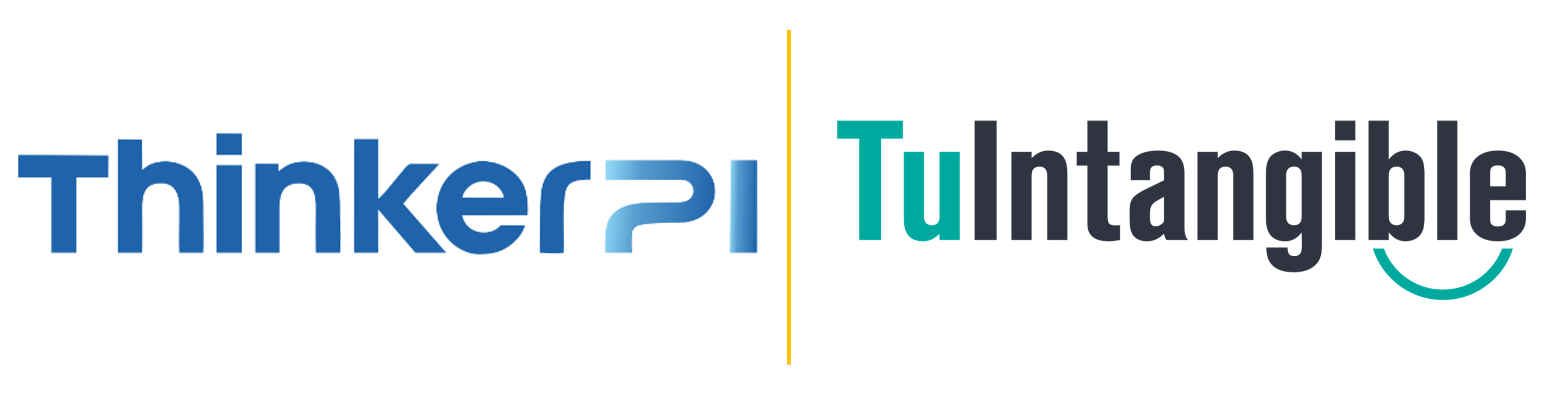 ThinkerPI | TuIntangible